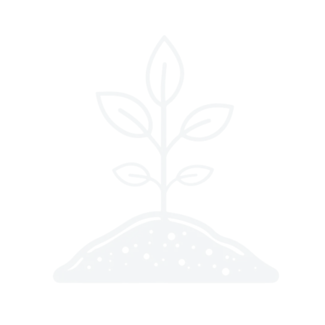 Partners Section Background